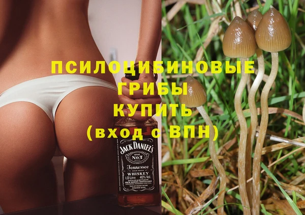 соль ск Костерёво