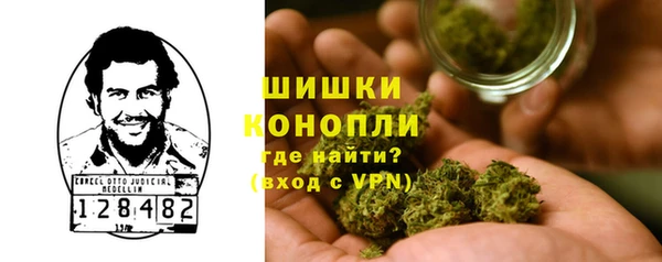 соль ск Костерёво