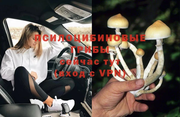 СК Корсаков