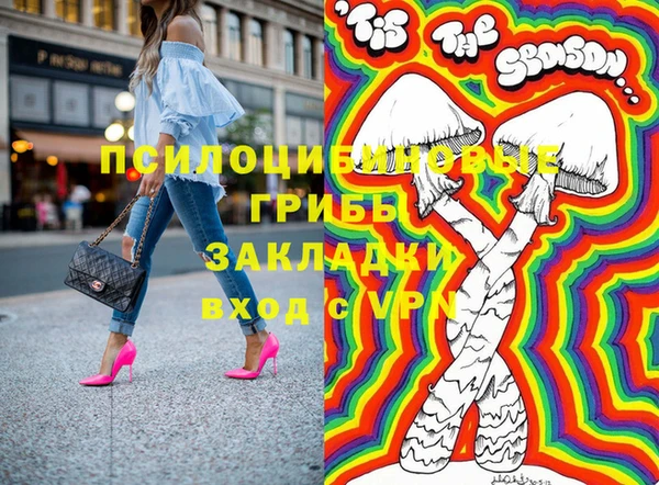 соль ск Костерёво