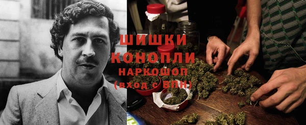 соль ск Костерёво