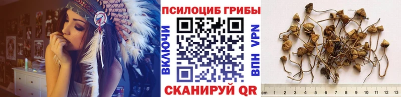 Галлюциногенные грибы прущие грибы Раменское