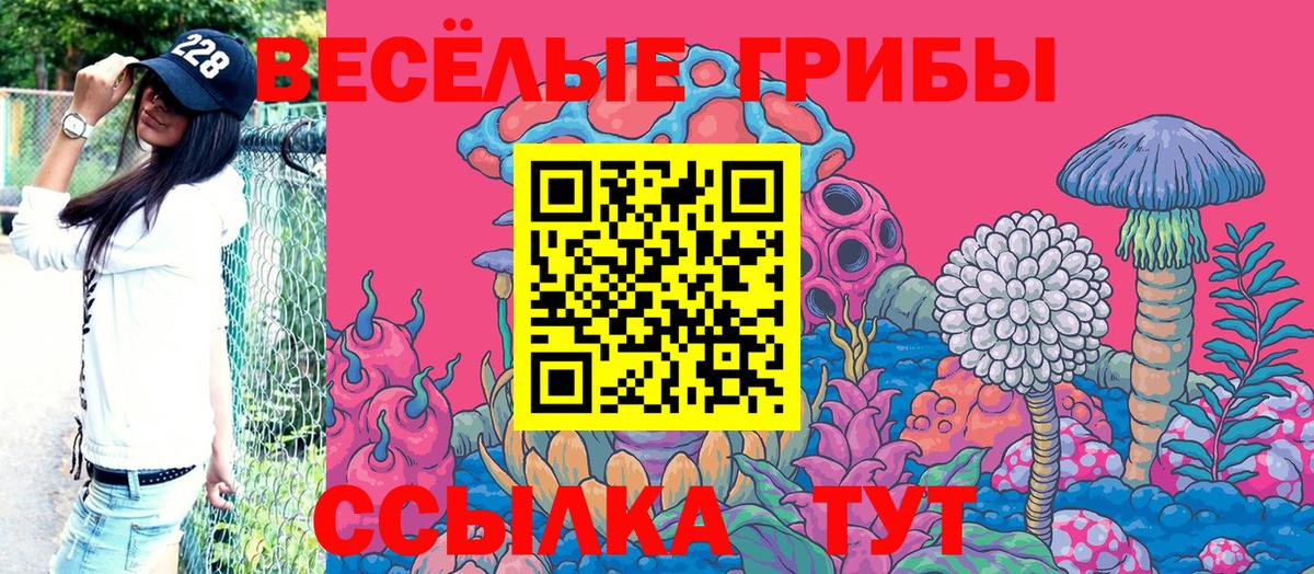 Раменское  Псилоцибиновые грибы Cubensis  Вход с VPN 