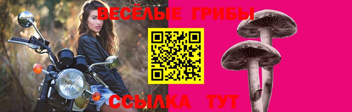 Псилоцибиновые грибы ЛСД Раменское